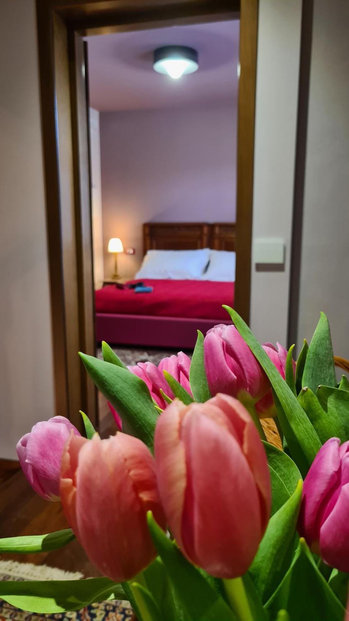 Zi Bitta - Guest House Palmanova Extérieur photo